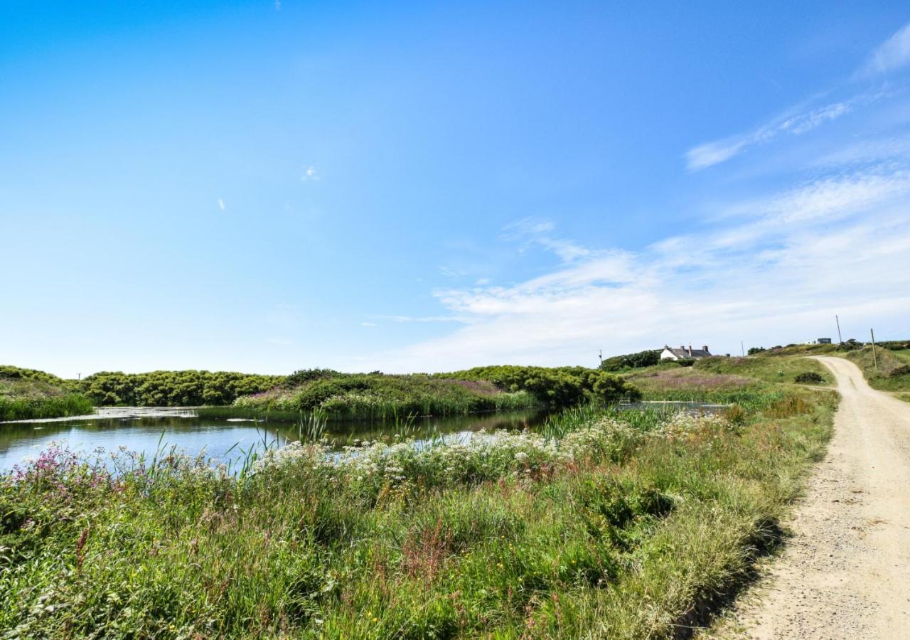 Ysgubor Villa St Davids Eksteriør billede