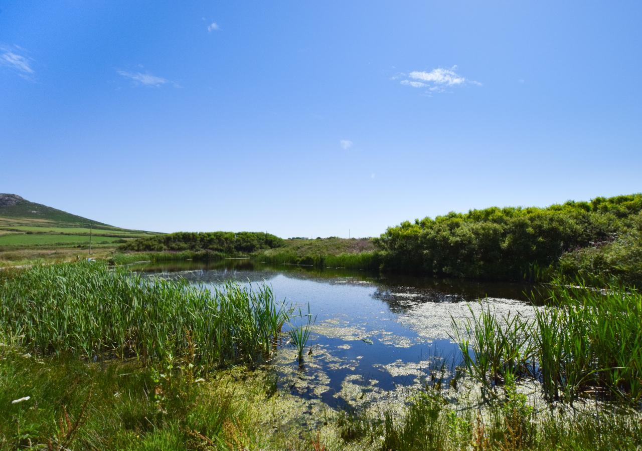 Ysgubor Villa St Davids Eksteriør billede